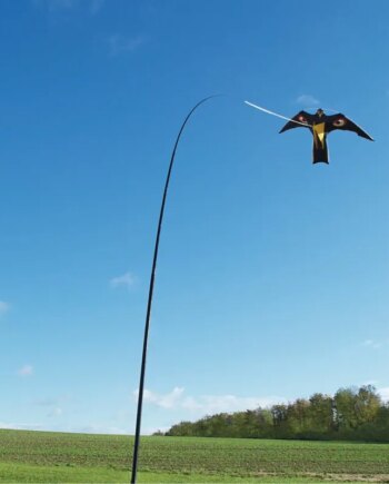 Fugleskræmmer     Drage        4m 228-360