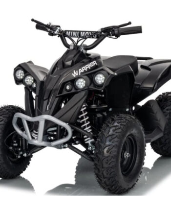 Azeno Atv Warrior 1000w  48v 6951491