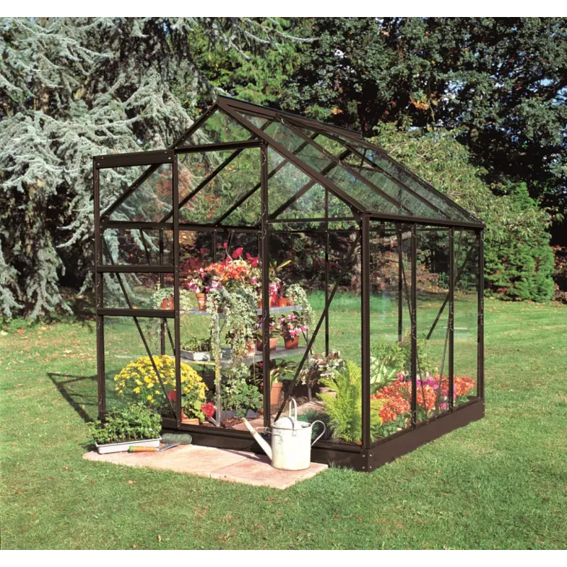 Halls Drivhus Popular 66 Sort Mm Glas F09938