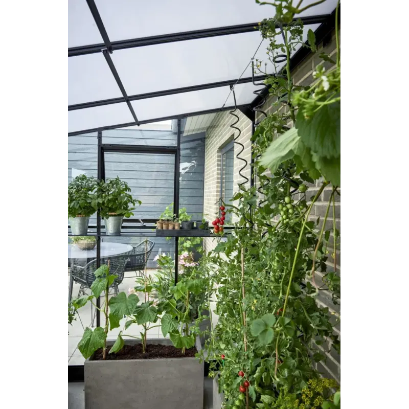 Halls Drivhus Qube Lean-to 612 Sort Mm Hærdet Glas F09937