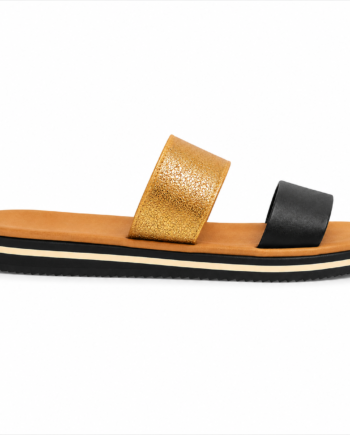 Gold Slides 41