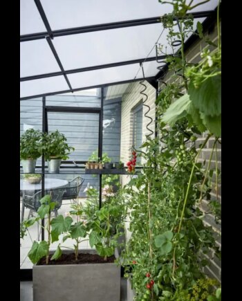 Halls Drivhus Qube Lean-to 612 Sort      Mm Hærdet Glas  F09937