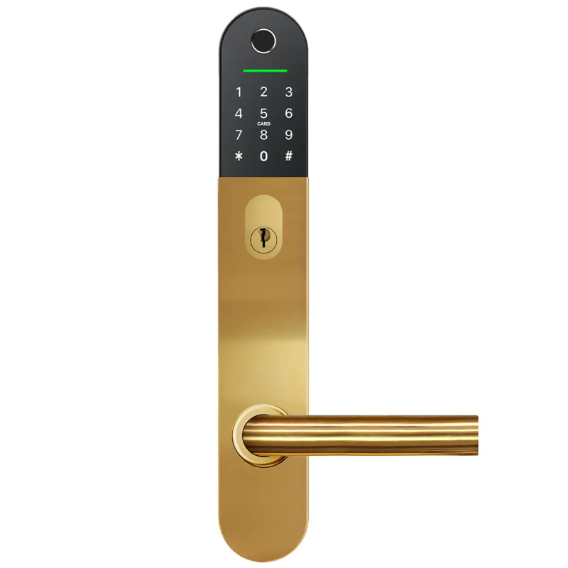 Jasa Guard Elektronisk Dørlås Til Oval Cylinder 49 Mm Mat Messing