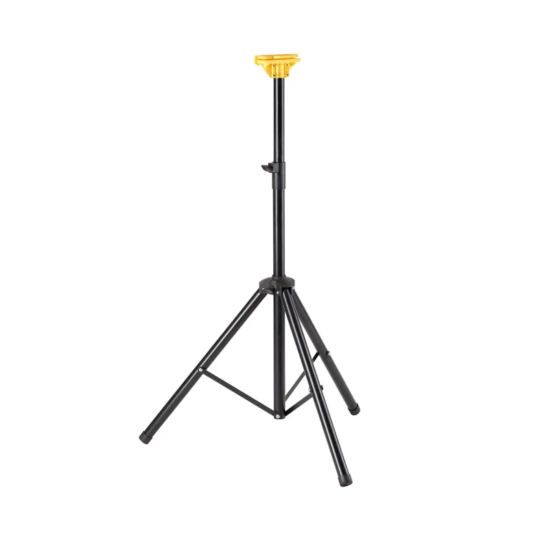 Lena Future Stander     Meter   Ben