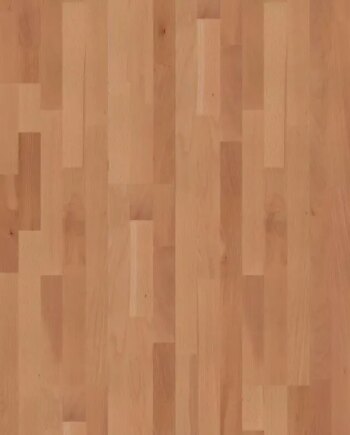 Moland Parket Bøg Uv-matlak 14964741 Classic Trægulv