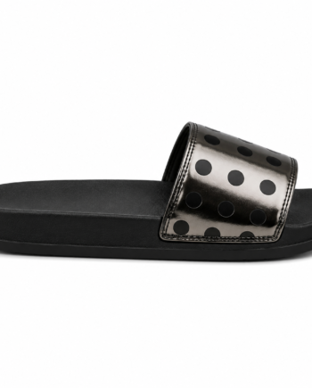 Silver Dot Slide 41