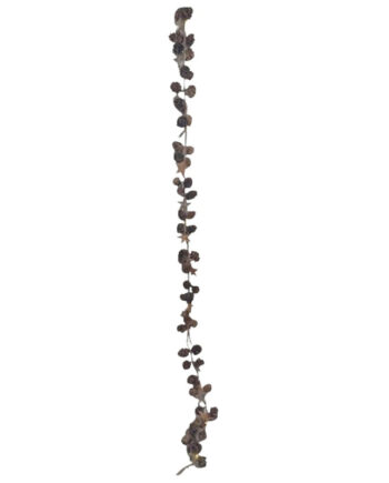 Dga Lyskæde   Kogler 160cm 23471216