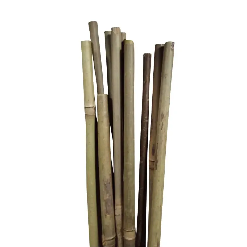 Greenï It Bambuspinde ø10 Mm   90 Cm 10-pak