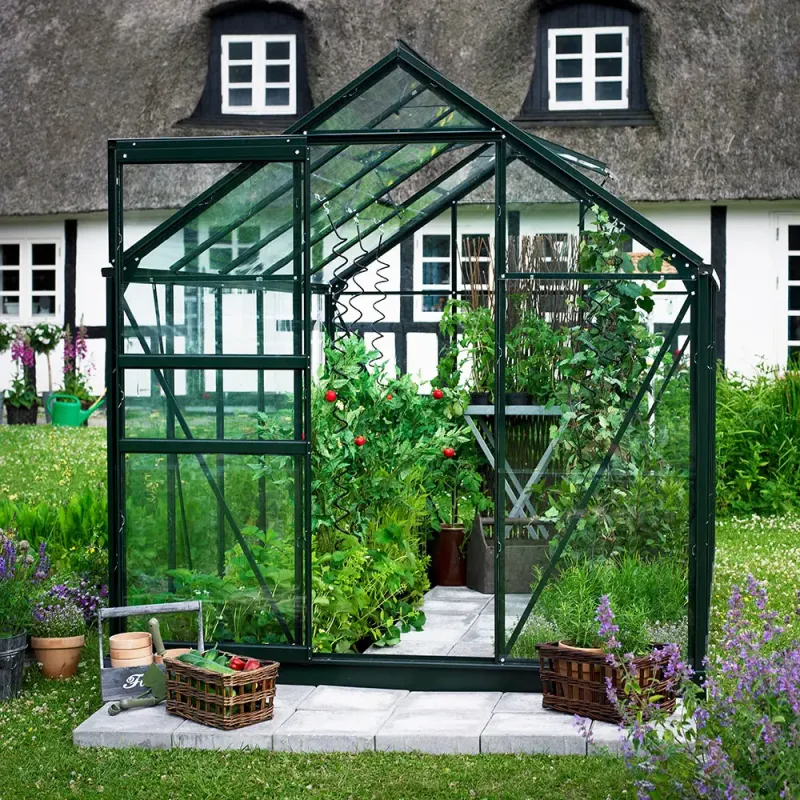 Halls Popular 66 Grøn     Mm Glas