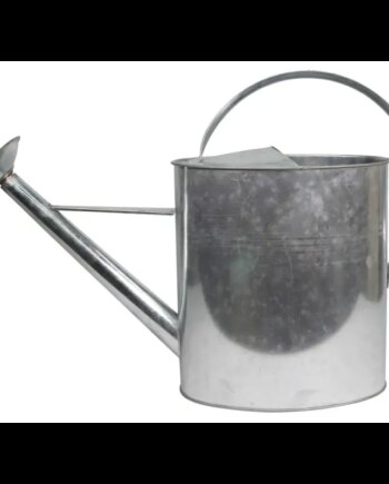 Home It Vandkande Med Spreder 10 Liter Galvaniseret