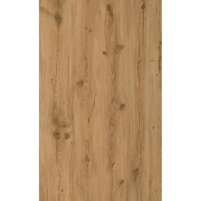 Moland  Bastion Eg Vinyl 10351273