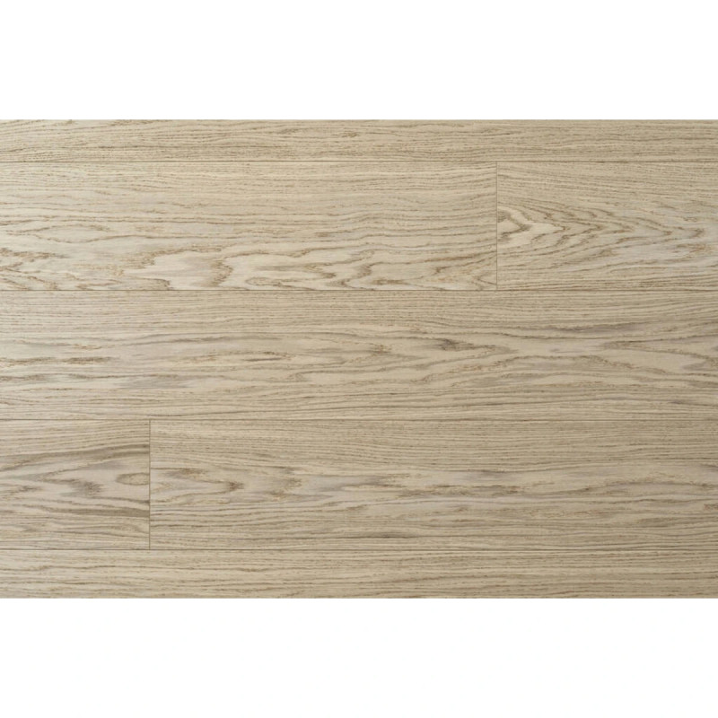 Moland Super Eg Mitchell-2508247 10401564