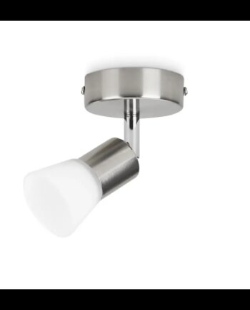 Philips Decagon Single Spot Mat Krom