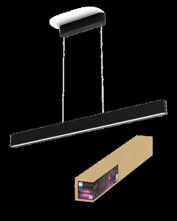 Philips Hue Ensis Hue Pendel Sort 2x39w 24v 929003052501