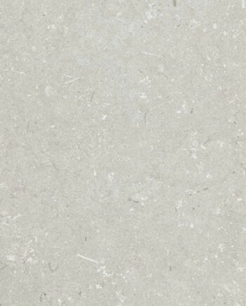 Shellstone Bianco  60x60cmx8mm 87454100