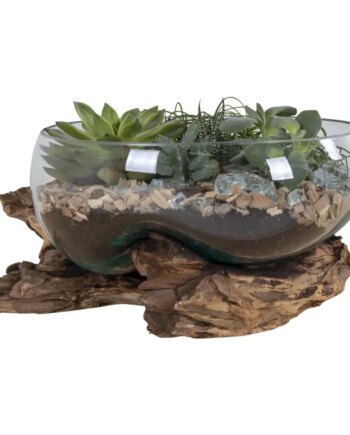 Vanddråbe   Glas Med Træfod ø26xh20 Cm 4501054