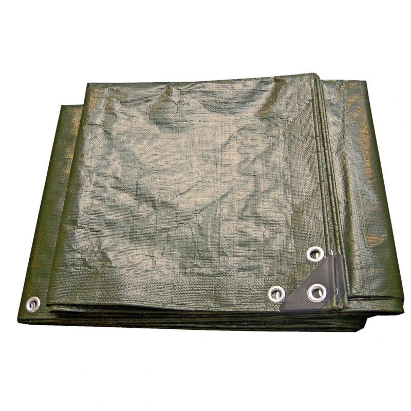 Green-it Presenning  -lags   45     35        M2