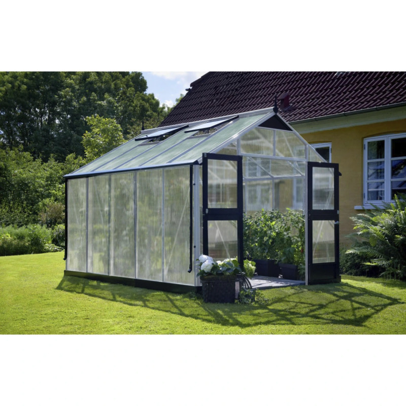 Juliana Premium 10   Mâ     10 Mm Poly