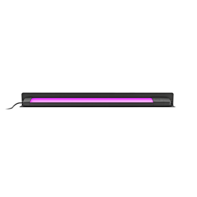 Philips Hue Amarant White And Color Ambiance Udendørs Projektør Sort Ip65 20w